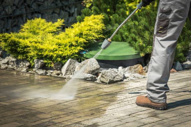 Best Winterizing Services  in Wright, FL